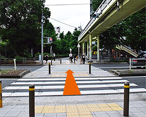 横断歩道を渡ります。歩道橋の下を右に曲がります。